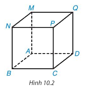 Giải mục 1 trang 86, 87 SGK Toán 7 tập 2 - Kết nối tri thức 3