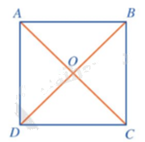 Giải mục 1 trang 86, 87 SGK Toán 9 tập 2 - Cánh diều 2