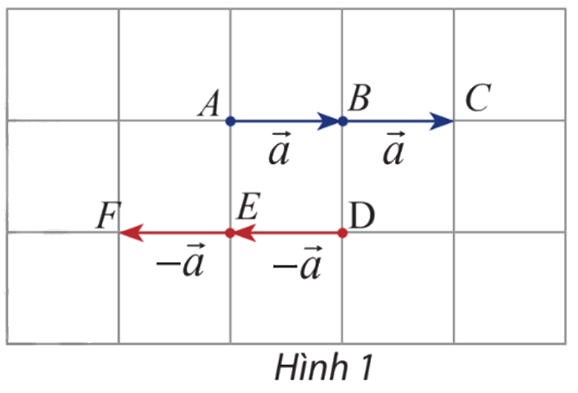 Giải mục 1 trang 94, 95 SGK Toán 10 tập 1 - Chân trời sáng tạo 1