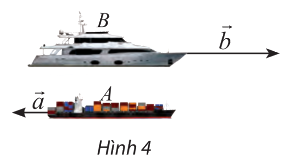 Giải mục 1 trang 94, 95 SGK Toán 10 tập 1 - Chân trời sáng tạo 3 1