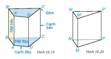 Giải mục 1 trang 94, 95 SGK Toán 7 tập 2 - Kết nối tri thức 1 1