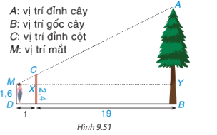 Giải mục 1 trang 98, 99, 100 SGK Toán 8 tập 2 - Kết nối tri thức 3