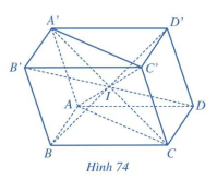 Giải mục 2 trang 111, 112, 113 SGK Toán 11 tập 1 - Cánh Diều 1