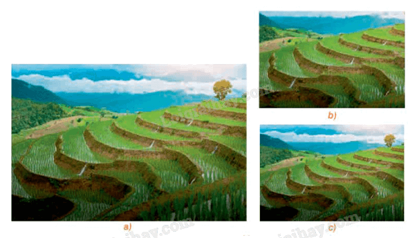 Giải mục 2 trang 27, 28, 29 Chuyên đề học tập Toán 11 - Kết nối tri thức 2 1