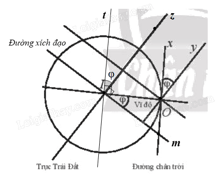 Giải mục 2 trang 27, 28 Chuyên đề học tập Toán 11 - Chân trời sáng tạo 2 2