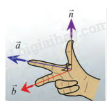 Giải mục 2 trang 33, 34 SGK Toán 12 tập 2 - Chân trời sáng tạo 1