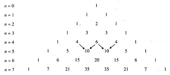 Giải mục 2 trang 34 Chuyên đề học tập Toán 10 - Cánh diều 0 1