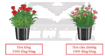 Giải mục 2 trang 38, 39 SGK Toán 8 tập 2 – Chân trời sáng tạo 1 1