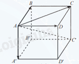 Giải mục 2 trang 43,44,45 SGK Toán 12 tập 1 - Chân trời sáng tạo 2