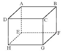 Giải mục 2 trang 43,44,45 SGK Toán 12 tập 1 - Chân trời sáng tạo 3