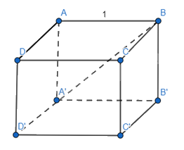 Giải mục 2 trang 43,44,45 SGK Toán 12 tập 1 - Chân trời sáng tạo 6
