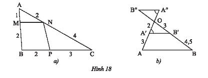 Giải mục 2 trang 46, 47, 48, 49 SGK Toán 8 tập 2– Chân trời sáng tạo 7