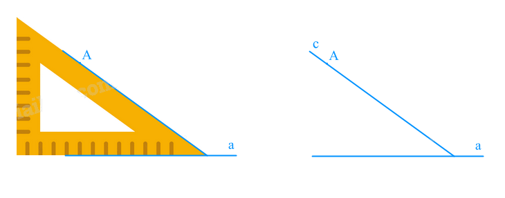 Giải mục 2 trang 47, 48, 49 SGK Toán 7 tập 1 - Kết nối tri thức 2 5