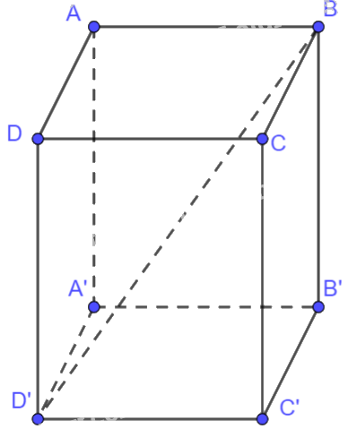 Giải mục 2 trang 49, 50, 51 SGK Toán 12 tập 1 - Kết nối tri thức 5 1