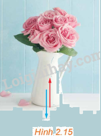 Giải mục 2 trang 49, 50, 51 SGK Toán 12 tập 1 - Kết nối tri thức 7