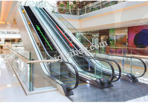 Giải mục 2 trang 49, 50, 51 SGK Toán 12 tập 1 - Kết nối tri thức 8 1