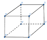 Giải mục 2 trang 53, 54, 55 SGK Toán 12 tập 1 - Chân trời sáng tạo 2