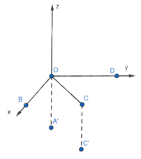 Giải mục 2 trang 53, 54, 55 SGK Toán 12 tập 1 - Chân trời sáng tạo 3