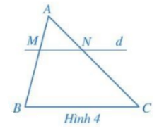 Giải mục 2 trang 53, 54, 55 SGK Toán 8 – Cánh diều 1 1