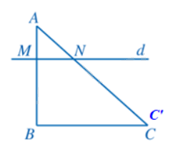 Giải mục 2 trang 53, 54, 55 SGK Toán 8 – Cánh diều 5