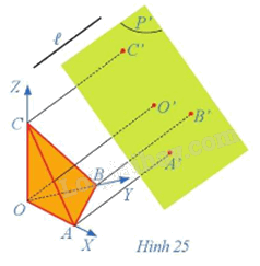 Giải mục 2 trang 57, 58, 59, 60 Chuyên đề học tập Toán 11 - Cánh diều 1