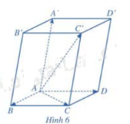 Giải mục 2 trang 58,59,60 SGK Toán 12 tập 1 - Cánh diều 2