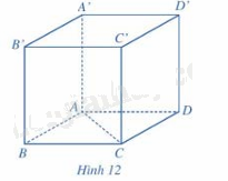 Giải mục 2 trang 58,59,60 SGK Toán 12 tập 1 - Cánh diều 5 1