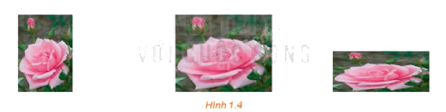 Giải mục 2 trang 6, 7, 8 Chuyên đề học tập Toán 11 - Kết nối tri thức 2