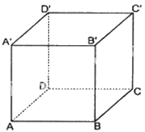 Giải mục 2 trang 61, 62, 63 SGK Toán 12 tập 1 - Kết nối tri thức 7 1