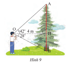 Giải mục 2 trang 69, 70 SGK Toán 9 tập 1 - Chân trời sáng tạo 1 1