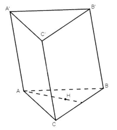 Giải mục 2 trang 78 SGK Toán 11 tập 2 - Cánh Diều 1