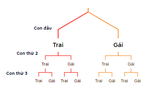 Giải mục 2 trang 84, 85 SGK Toán 10 tập 2 - Kết nối tri thức 2 1