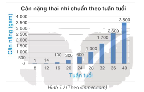 Giải mục 2 trang 94, 95 SGK Toán 8 tập 1 - Kết nối tri thức 0 1
