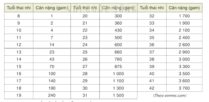 Giải mục 2 trang 94, 95 SGK Toán 8 tập 1 - Kết nối tri thức 2