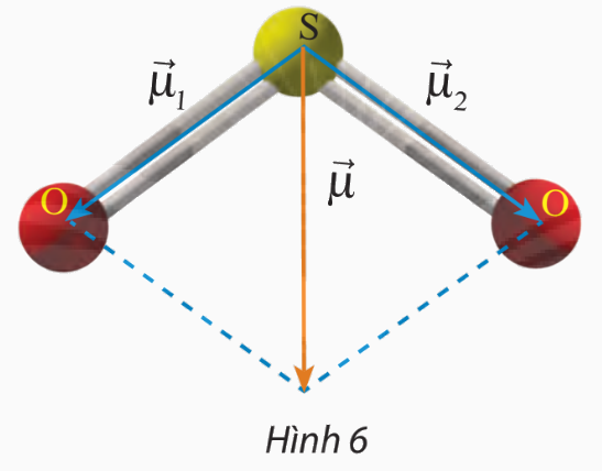 Giải mục 3 trang 100, 101 SGK Toán 10 tập 1 - Chân trời sáng tạo 1