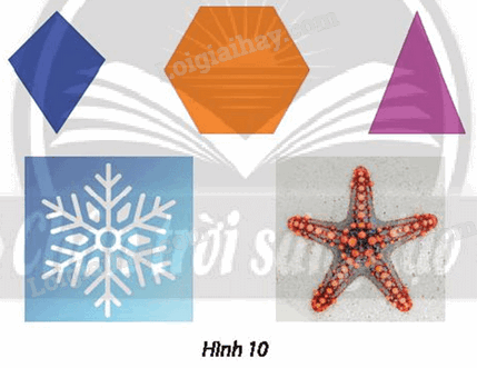 Giải mục 3 trang 17, 18 Chuyên đề học tập Toán 11 - Chân trời sáng tạo 2 1