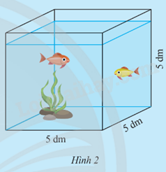 Giải mục 3 trang 44 SGK Toán 9 tập 1 - Chân trời sáng tạo 1