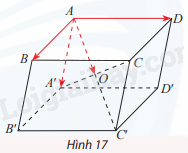 Giải mục 3 trang 46,47,48 SGK Toán 12 tập 1 - Chân trời sáng tạo 1