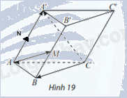 Giải mục 3 trang 46,47,48 SGK Toán 12 tập 1 - Chân trời sáng tạo 2