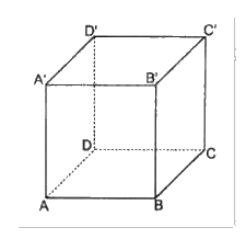 Giải mục 3 trang 60, 61, 62, 63, 64 SGK Toán 12 tập 1 - Cùng khám phá 3 1