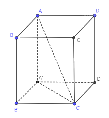 Giải mục 3 trang 68, 69 SGK Toán 11 tập 2 - Cùng khám phá 1