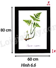 Giải mục 3 trang 9, 10, 11 SGK Toán 9 tập 2 - Cùng khám phá 6 1