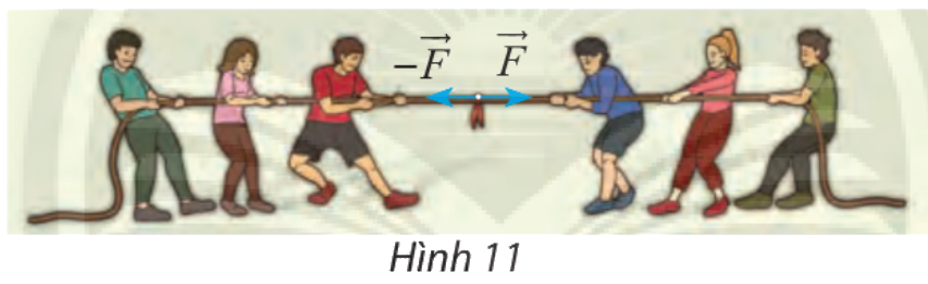 Giải mục 3 trang 91, 92 SGK Toán 10 tập 1 - Chân trời sáng tạo 1