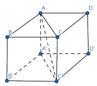 Giải mục 4 trang 48,49,50 SGK Toán 12 tập 1 - Chân trời sáng tạo 3 1