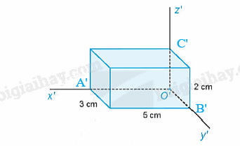 Giải mục 4 trang 59, 60, 61, 62, 63, 64 Chuyên đề học tập Toán 11 - Kết nối tri thức 5