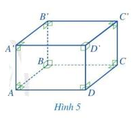 Giải mục I trang 76, 77 SGK Toán 7 tập 1 - Cánh diều 3
