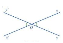 Giải mục II trang 106, 107 SGK Toán 7 tập 1 - Cánh diều 0 1