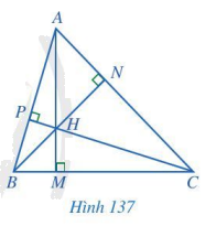 Giải mục II trang 117, 118 SGK Toán 7 tập 2 - Cánh diều 1