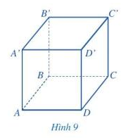 Giải mục II trang 77, 78 SGK Toán 7 tập 1 - Cánh diều 1