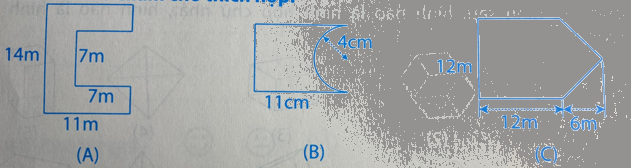 Giải Phần B. Kết nối trang 10 Bài tập phát triển năng lực Toán 5 tập 2 1